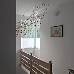 Római Fürdő *