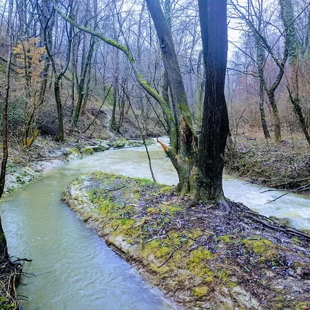 Római Fürdő *