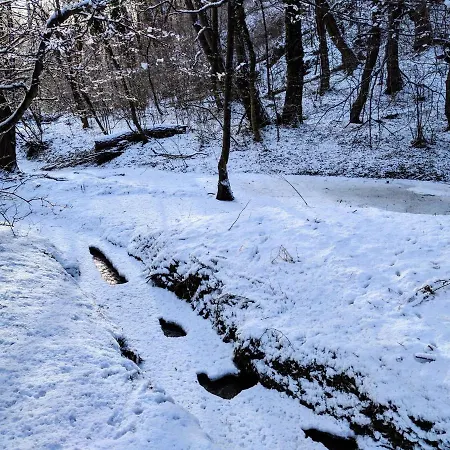 Romai Fuerdo Apartmanhaz * Bakonynána